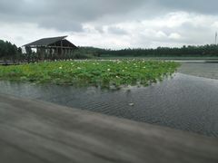 景点-溱湖国家湿地公园