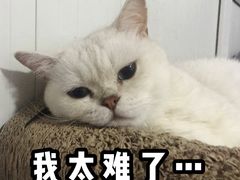 -中粮丰通（北京)食品有限公司