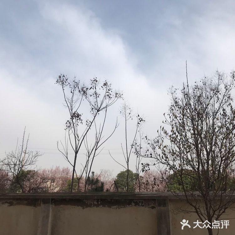 最好的踏青去处就去取快递的路了吧