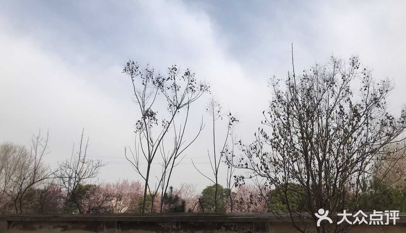 最好的踏青去处就去取快递的路了吧