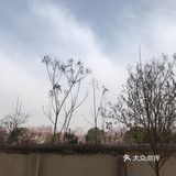 最好的踏青去处就去取快递的路了吧