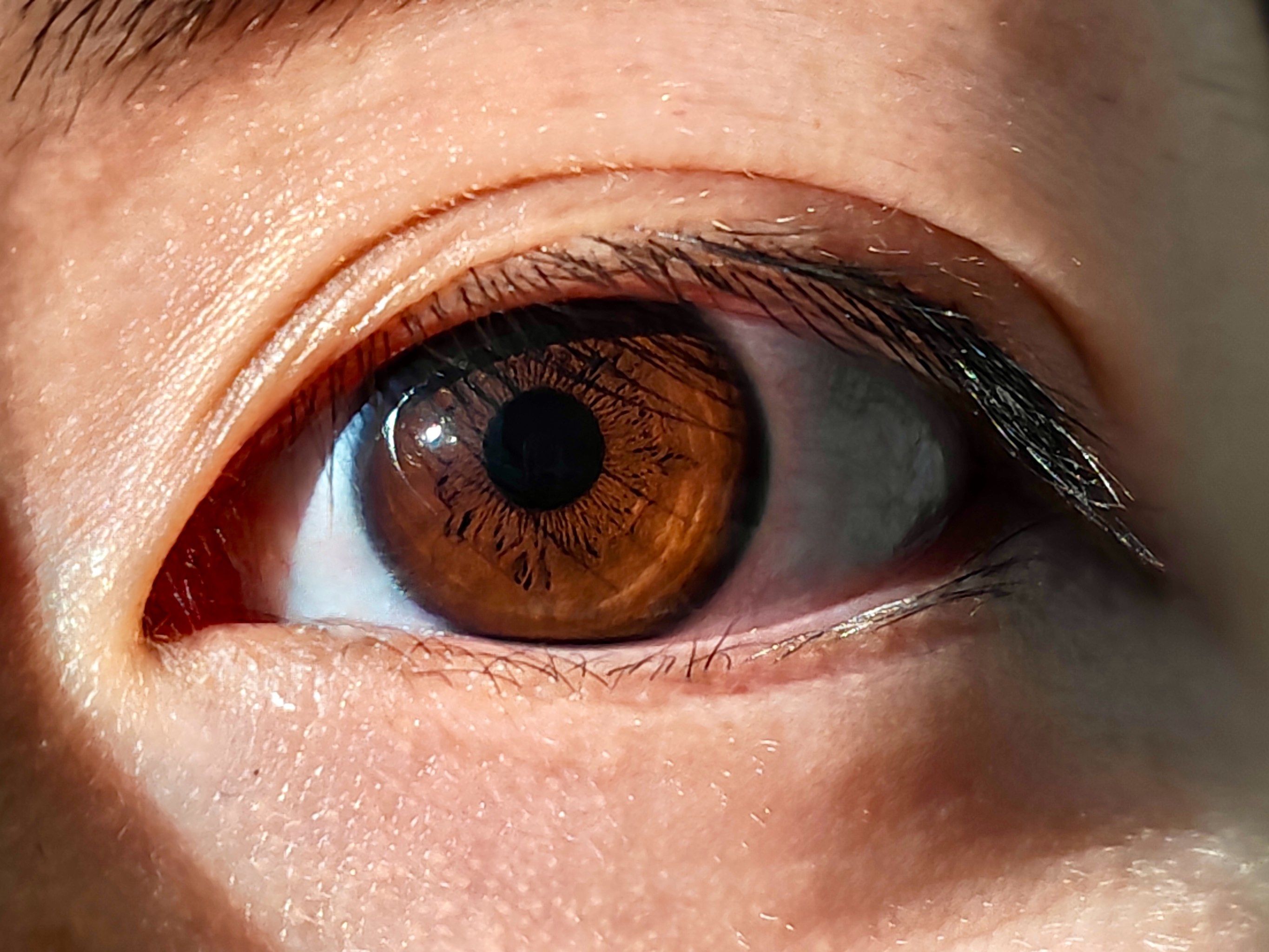 我学会瞳孔微距镜头了!