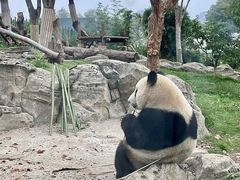-武汉动物园