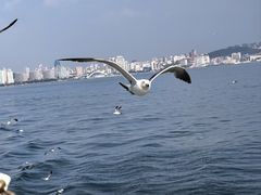 -刘公岛景区
