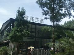 -桉树林A coffee 森林餐厅(三圣乡店)