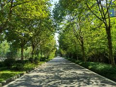 -大渡口区义渡公园