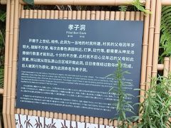 -沐川竹海旅游景区
