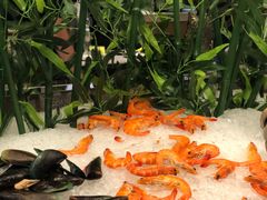 -顺德联塑万怡酒店·万荟轩自助餐厅