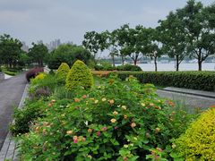 -上海山野camping·户外天幕烧烤·团建拓展营地