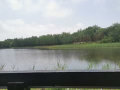 -品渔味湖鲜馆(拈花湾店)