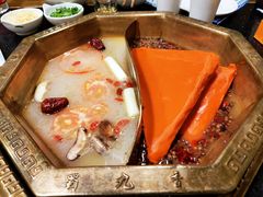 -蜀九香火锅(彩虹店)