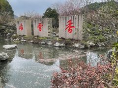 -香雪海