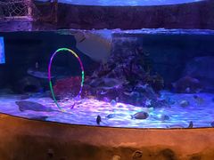 -沈阳海洋探索中心