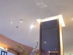 -东方早茶 海鲜•青岛菜(国信体育中心店)
