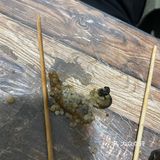 夜宵美食巡礼记