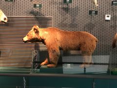 -中国湿地博物馆