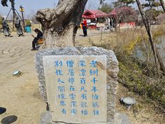 -南阳卧龙岗武侯祠