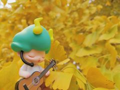 -上海共青森林公园