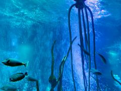 -沈阳海洋探索中心