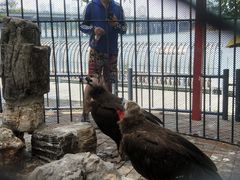 -长白岛森林公园