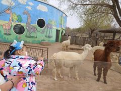 -鄂尔多斯野生动物园