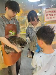 -神奇动物撸宠馆·羊驼·小浣熊·异宠(豫园店)