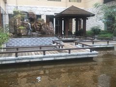 -三清山希尔顿度假酒店