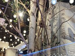 -河坝烧烤串城(金达莱店)