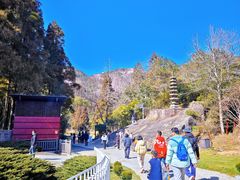 -玉苍山国家森林公园