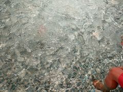 -涨巢·潮玩水疗局