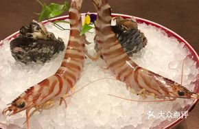 Extra Large Flower Shrimp Emperor