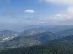 -武陵山森林公园