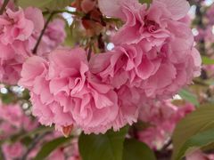 -中山路壹号传奇club·啤酒花园餐厅
