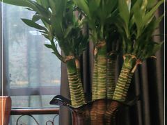 -顺风山庄(水濂山店)