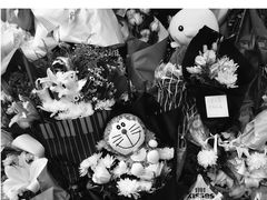 -上海市世外小学