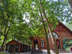 -合肥滨湖国家森林公园