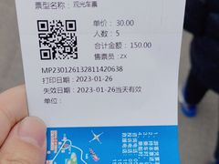 -泗洪洪泽湖湿地景区