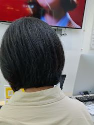 -YESIDO椰岛造型