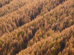 -苏木山森林公园