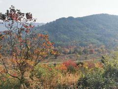 -塔川景区
