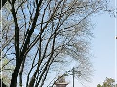 -鼓楼(兴庆区)
