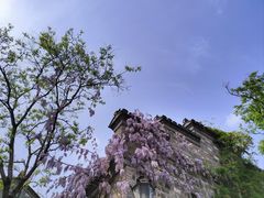 -老门东历史文化街区