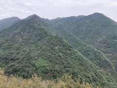 -东天目山风景区