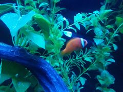 -成都浩海立方海洋公园