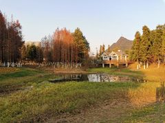 -贵阳市花溪国家城市湿地公园