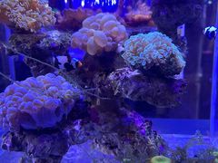 -海合安青岛极地海洋公园