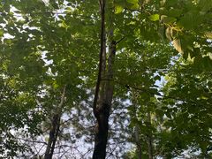 -白塘生态植物园