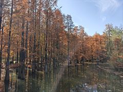 -青龙山国家森林公园