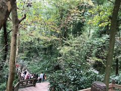 -青城山