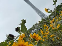 -二沙岛艺术公园